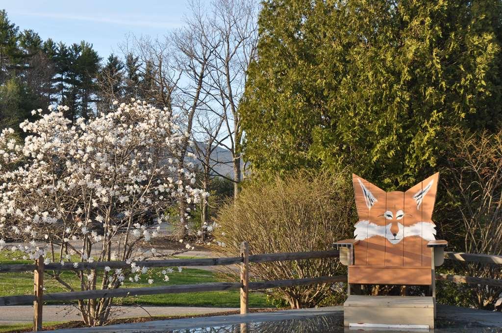 Fox Ridge Resort North Conway Exterior photo